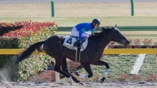 【東京7R】武豊騎乗のゴールドスミスが逃げ切りで3勝目！