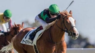 【新馬/東京6R】マーフィー騎乗のオーロアドーネがデビューV！