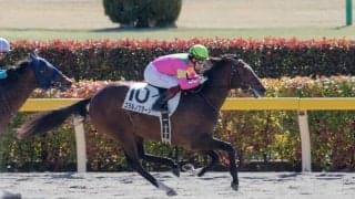 【新馬/東京4R】コラルノクターンが人気に応えてデビュー勝ち！