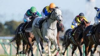 【早春S】ボスジラが3連勝を決める！武豊は本日3勝目