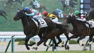 【新馬/京都6R】キズナ産駒のアブレイズがデビュー勝ち！