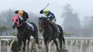 2019年度岩手競馬 年度代表馬はヤマショウブラック号！