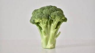 がん予防効果の期待できる緑黄色野菜の代表「ブロッコリー」