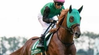 東京新聞杯は上がり馬２頭が強力も、穴馬として要注目の１頭がいる