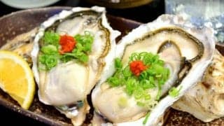 「海のミルク」牡蠣の三大栄養素って？