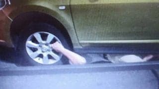 豪快ラガーマン伝説「車の下敷きで無傷事件」 ONE TEAMの結束につながった後日談とは？