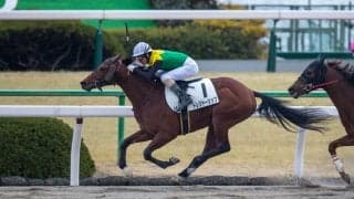 【新馬/京都6R】10番人気のトレジャーシップが低評価を覆してデビューV！