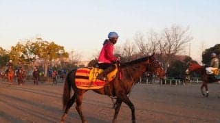 【東京新聞杯】レイエンダ 藤沢師「体は10キロくらい増えている」