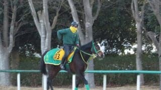 【東京新聞杯】シャドウディーヴァ 54キロなら軽視禁物