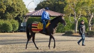 【東京新聞杯】プリモシーン 仕切り直しで復活を目指す