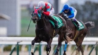 【きさらぎ賞】7番人気コルテジアが重賞初制覇！