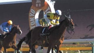 【ゆりかもめ賞】良血リリーピュアハートが連勝で2勝目！