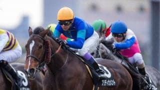 【山城S】武豊 プリディカメントが人気に応える