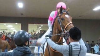 【新馬/東京3R】7番人気バルサミックムーンが4馬身差デビューV！