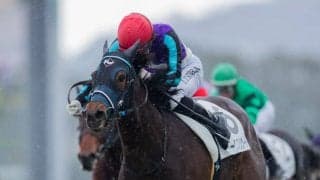 【新馬/京都6R】8番人気のアークフリゲートがデビューV！