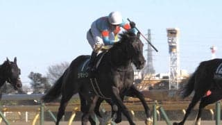 【東京新聞杯】プリモシーンが重賞3勝目！売り上げ入場人員微減