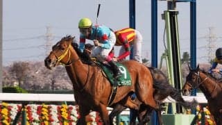 ヒーズインラブ号が競走馬登録抹消