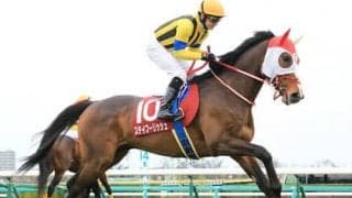 京都記念、人気馬に危険な歴史。むしろ３番、６番人気が好走している