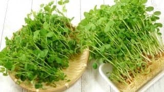 栄養価ピカイチ「豆苗」の活用術