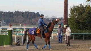 【クイーンC】マジックキャッスル 国枝師「東京コース合いそう」