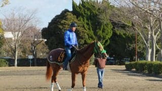 【クイーンC】ホウオウピースフル 大竹師「当日のテンションがカギ」