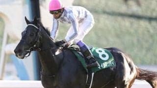 共同通信杯は、強烈な末脚を秘める「いぶし銀」２頭がアッと言わす