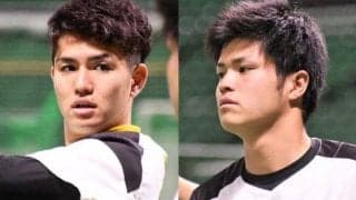 鷹、甲斐野は「右肘内側側副靱帯一部損傷」、高橋礼は「左大腿二頭筋の炎症」と発表