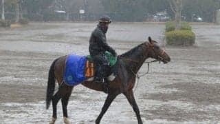 【共同通信杯】フィリオアレグロ 緩さが抜けて成長