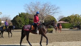 【共同通信杯】ココロノトウダイ 手塚師「今回のメンバーでも楽しみ」