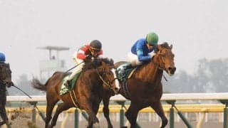 【共同通信杯】ダーリントンホールが重賞初制覇！マイラプソディは4着敗退