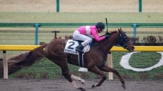 【東京8R】武豊サクラアリュールが人気に応える！