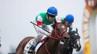 【東京6R】ヴェスターヴァルトが2勝目を飾る