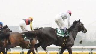 【共同通信杯】武豊「競馬は難しい」レース後ジョッキーコメント