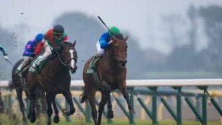 【共同通信杯】売り上げ大幅増！ダーリントンホールが快勝！