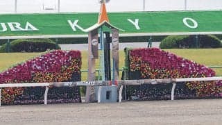 【京都記念】クロノジェネシスが快勝！売り上げ入場人員ともに下がる