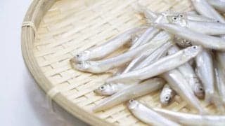 丸ごと食べよう！カルシウムの塊「ワカサギ」