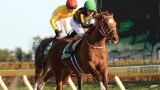 フェブラリーＳで「二刀流」ＧＩ馬へ。モズアスコットの真価が問われる