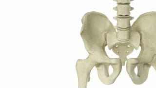 骨盤底筋リハビリテーションとは？