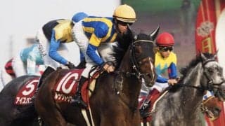 ルックトゥワイス号が競走馬登録抹消