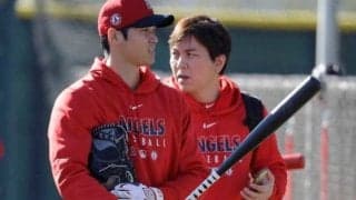 【MLB】大谷翔平“ムッキムキ”な腕に米メディア注目　黒タンクトップ姿に「数年前と違う」