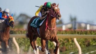 【フェブラリーS】出走馬の調教後の馬体重