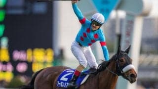 2020ドバイワールドカップデー JRA所属馬の選出および受諾