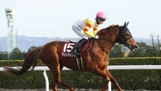 フェブラリーＳは人気馬２頭に不安。穴党記者が見込んだ４頭の出番だ