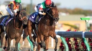 2020サウジカップ開催に出走予定の日本馬4頭がサウジアラビアに到着