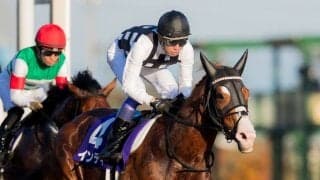 【フェブラリーS】枠順と見どころ インティは3枠5番