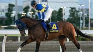 フェブラリーＳは「手薄」なメンバー。ならば地方馬にもチャンスあり