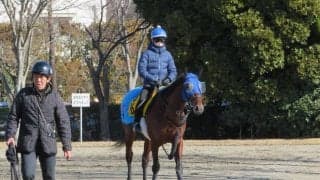 【ダイヤモンドS】オセアグレイト 得意の東京で重賞初制覇のチャンス