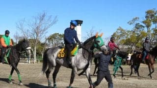 【ダイヤモンドS】バレリオ 相沢師「重賞でも通用する」