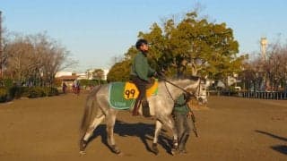 【京都牝馬S】アルーシャ 藤沢和師「昨年はゴチャつく場面も」
