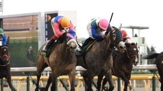 【ダイヤモンドS】超大穴飛び出す！単勝3万越え ミライヘノツバサが大接戦を制する